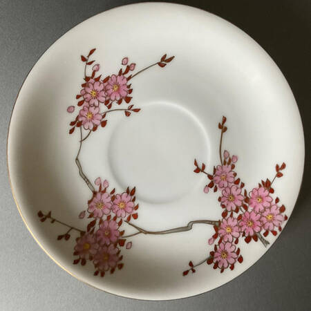 727-100 Saucer