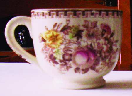 Fruit Harvest Flat Cup