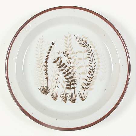 Fern by Japan