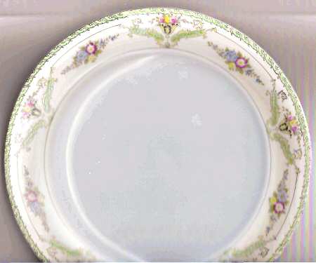 N6406 Dinner Plate
