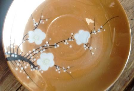JAP613 Saucer