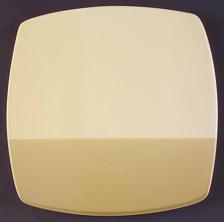 Studio Colortones Sage Dinner Plate