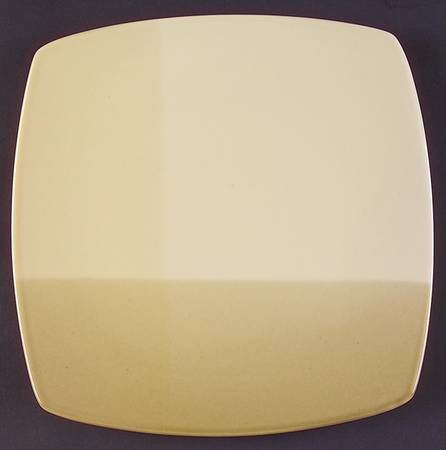 Studio Colortones Sage Dinner Plate by JCPenney
