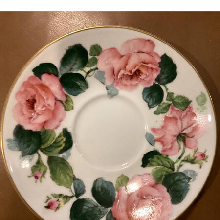 19529 Saucer