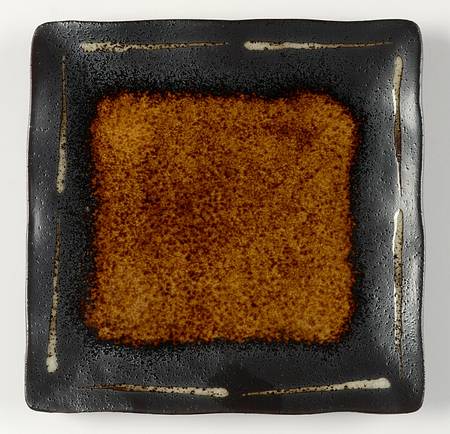 Constellation Square Salad Plate