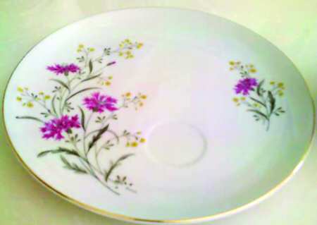 JAP714 Snack Plate