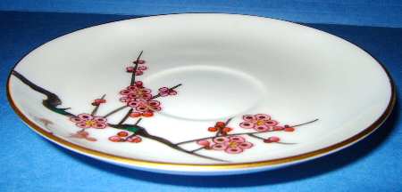 569 Saucer