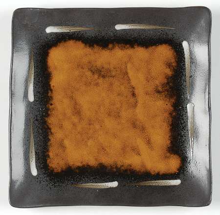 Solaris Square Salad Plate