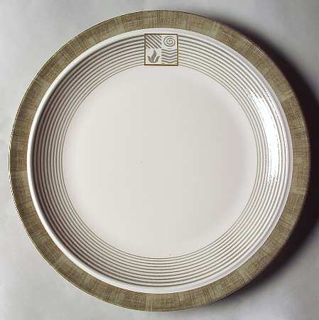 Zen Mica by Johnson Brothers