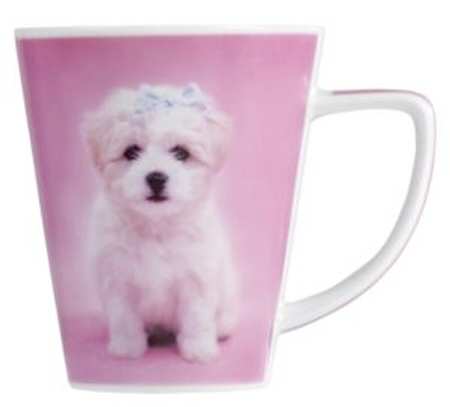 Rachel Hale Mug