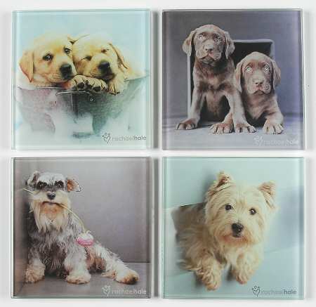 Rachel Hale Glassware Coaster - Set of 4 Motifs
