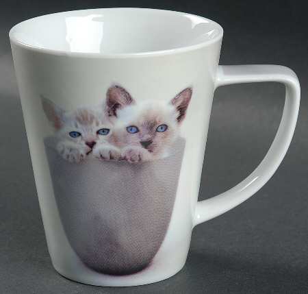Rachel Hale Mug