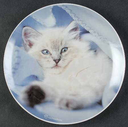 Rachel Hale Dessert Luncheon Plate