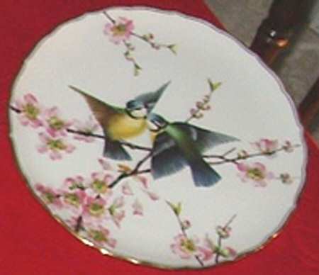 5496x Salad Plate