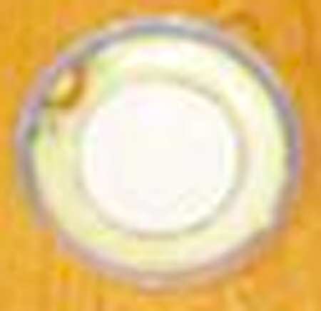 JAP996 Salad Plate