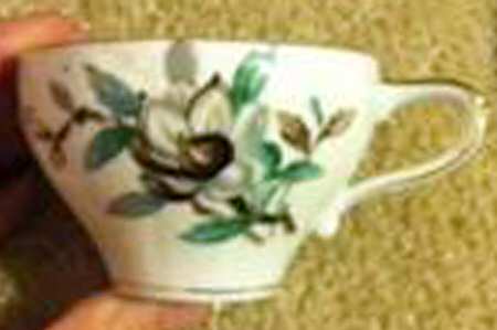 CT7350 Snack Cup