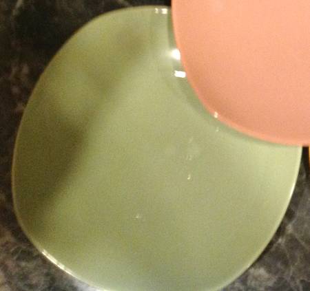 Jamboree Dinner Plate