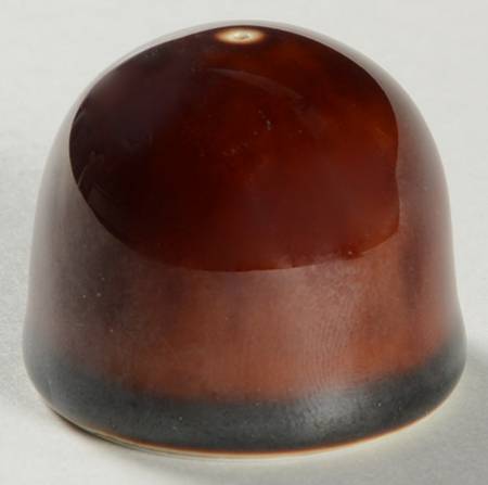 Tortoise (No Trim) Salt Shaker