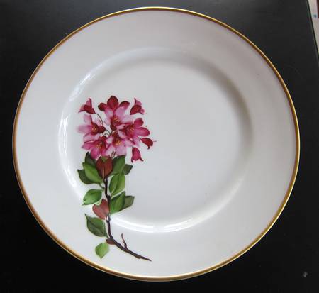 Alpen Rosen by Johann Haviland