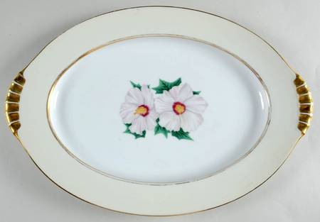 Tropical 17" Oval Serving Platter