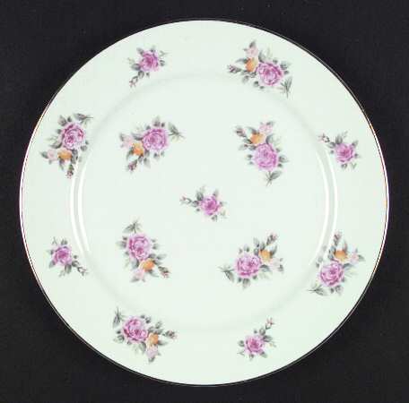 KIN1 Dinner Plate