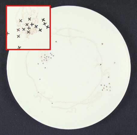 Queen Anne's Lace Salad Plate