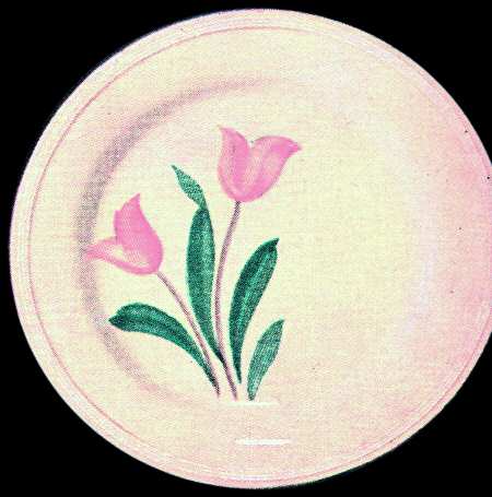 Tulip by Edwin Knowles