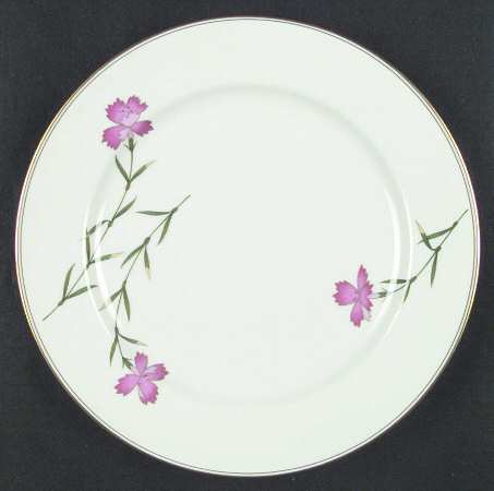 Sweet William by Koransha