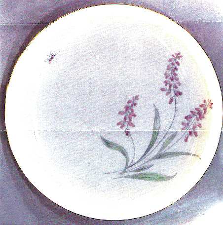 689 Salad Plate