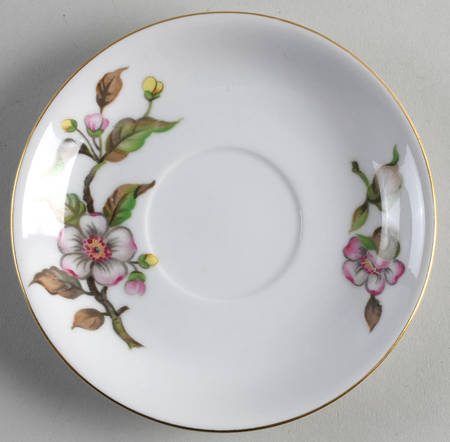 Gloria Saucer