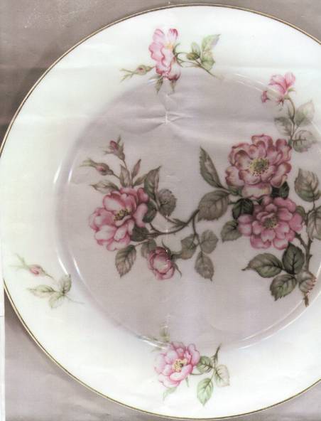 KYO2 Dinner Plate