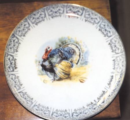 KNO345 Dinner Plate
