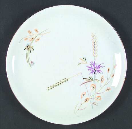 600 Dinner Plate