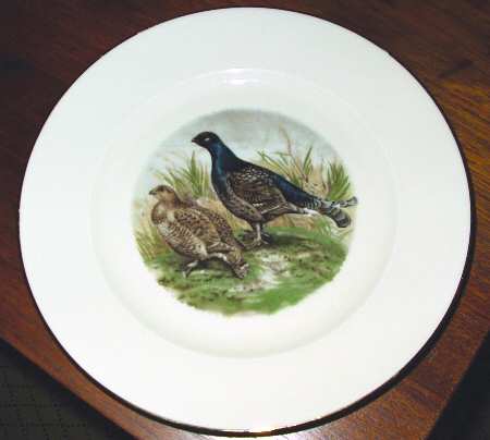 JKW101 Salad Plate