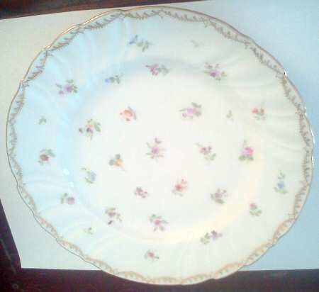 KLE17 Dinner Plate