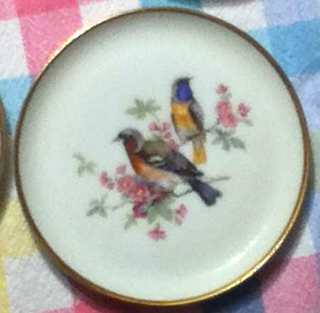 Vogel Coaster