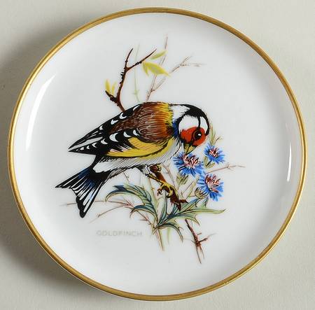 Vogel Coaster