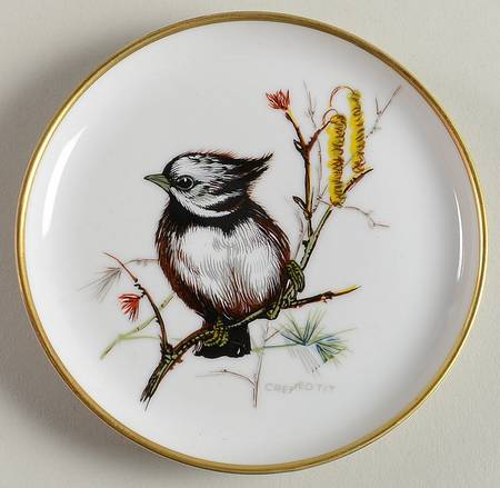 Vogel Coaster