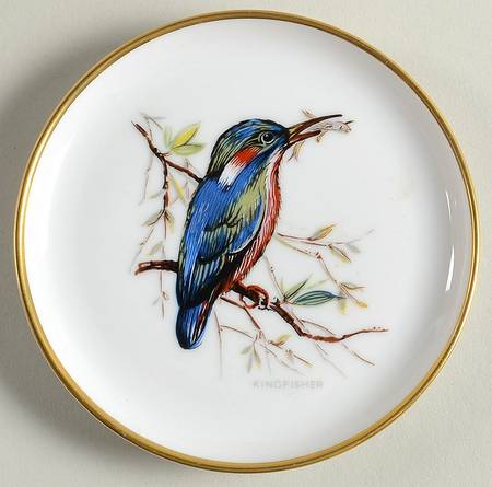 Vogel Coaster