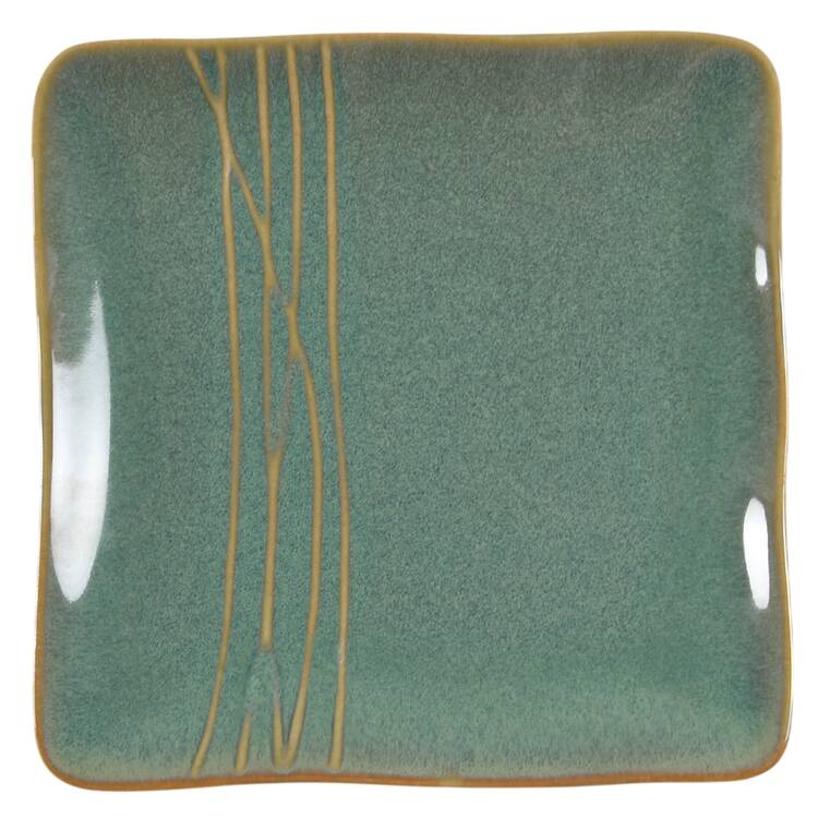 Green Square Appetizer Plate