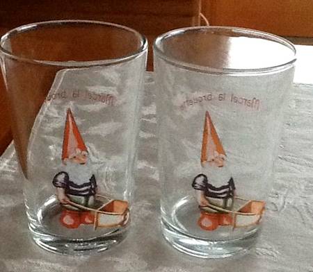 Gnomes Glassware Flat Tumbler