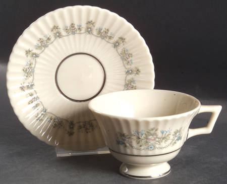 Beacon Hill (Newer) Footed Cup & Saucer Set