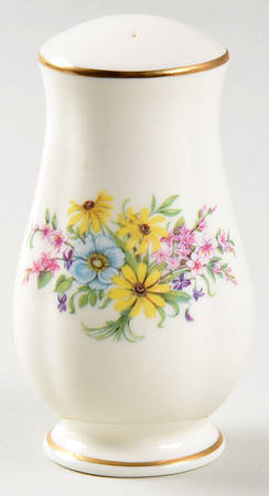 Constitution Salt Shaker