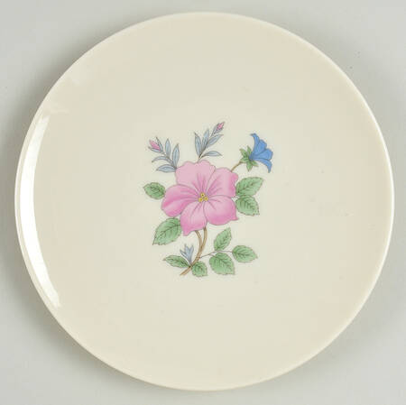 Cynthia Salad Plate