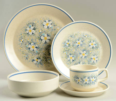 Dewdrops 5 Piece Place Setting