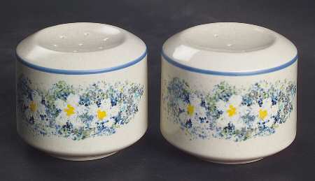 Dewdrops Salt & Pepper Set