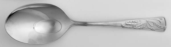 Holiday (Dimension) All Stainless Serving Spoon