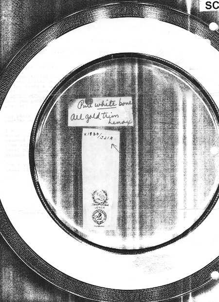 J21A Dinner Plate