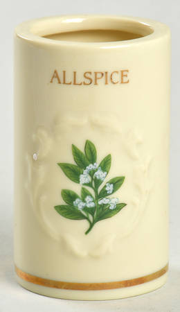Spice Garden (Giftware) Spice Jar Set Individual Jar No Lid