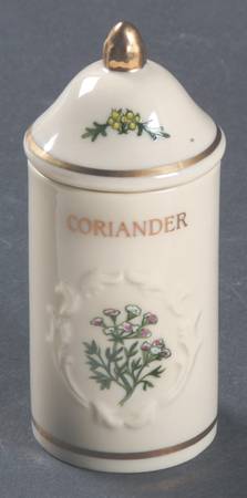Spice Garden (Giftware) Spice Jar Set Individual Jar & Lid